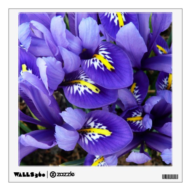 Miniature Blue Irises Spring Floral Wall Sticker (Front)