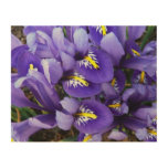 Miniature Blue Irises Spring Floral Wood Wall Art