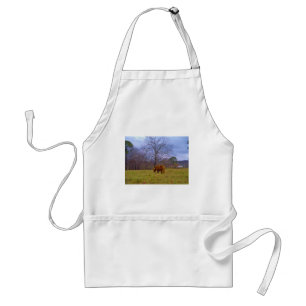 Miniature brown horse blustery sky adult apron