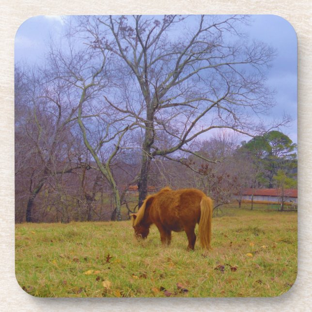 Miniature brown horse blustery sky beverage coaster (Front)
