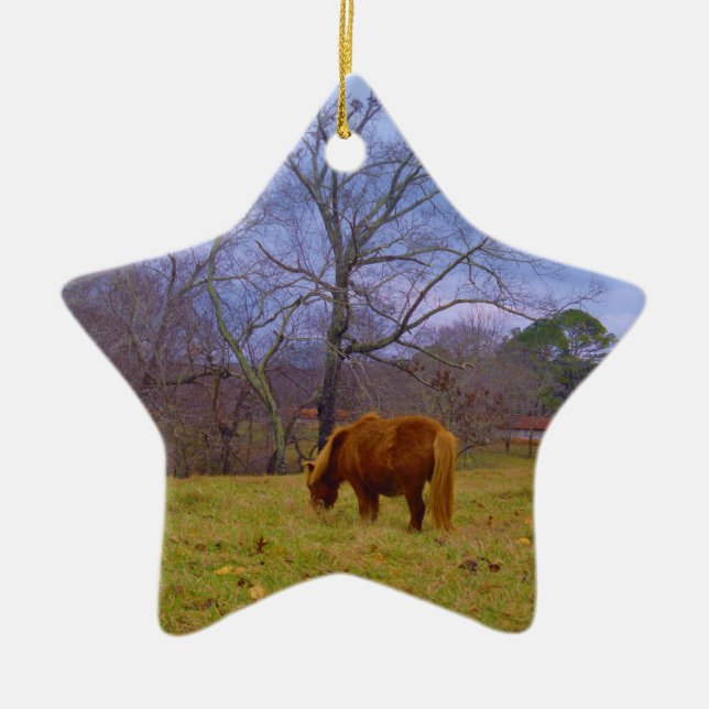 Miniature brown horse blustery sky ceramic ornament (Front)
