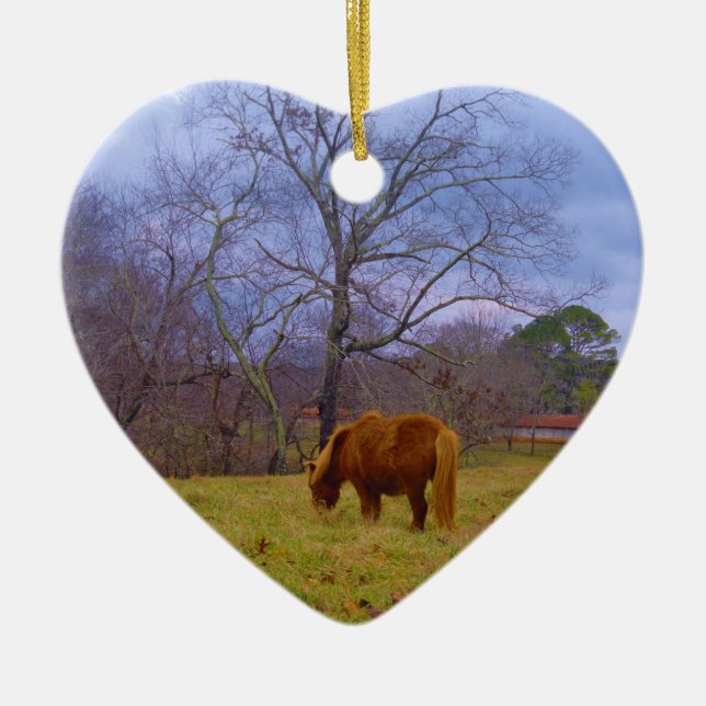 Miniature brown horse blustery sky ceramic ornament (Front)