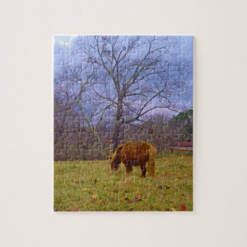 Miniature brown horse blustery sky jigsaw puzzle