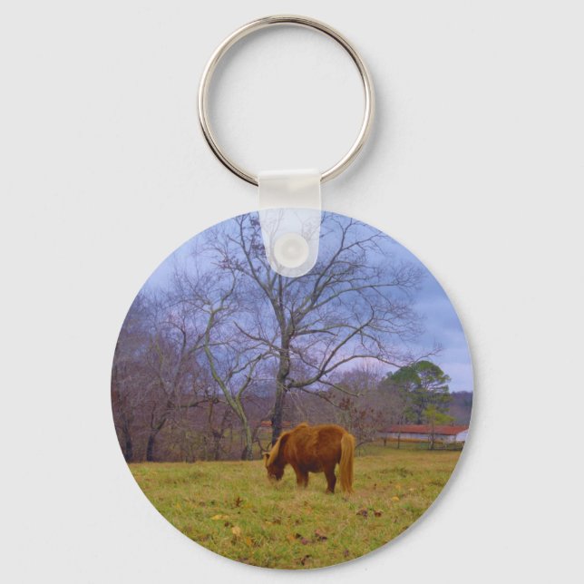 Miniature brown horse blustery sky keychain (Front)