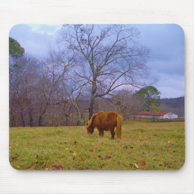 Miniature brown horse blustery sky mouse pad (Front)