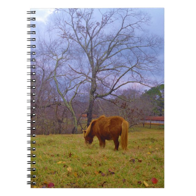 Miniature brown horse blustery sky notebook (Front)