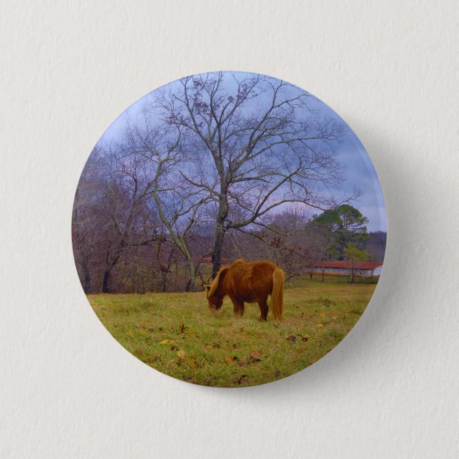 Miniature brown horse blustery sky pinback button (Front)