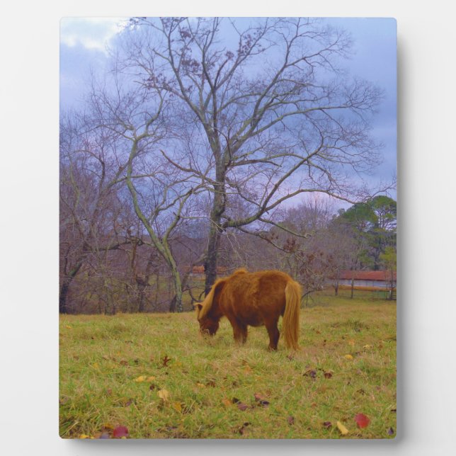 Miniature brown horse blustery sky plaque (Front)