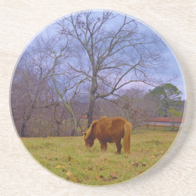 Miniature brown horse blustery sky sandstone coaster (Front)