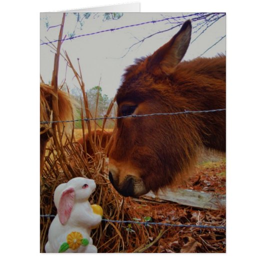 Miniature Brown horse & Easter Bunny (Front)