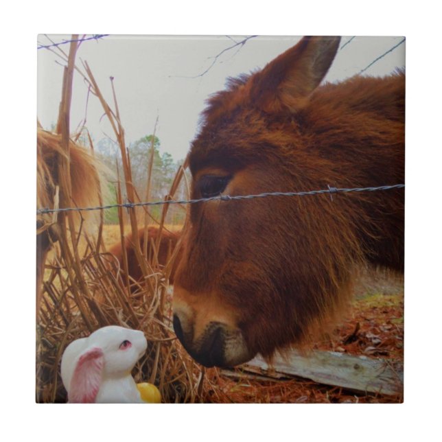 Miniature Brown horse & Easter Bunny Ceramic Tile (Front)
