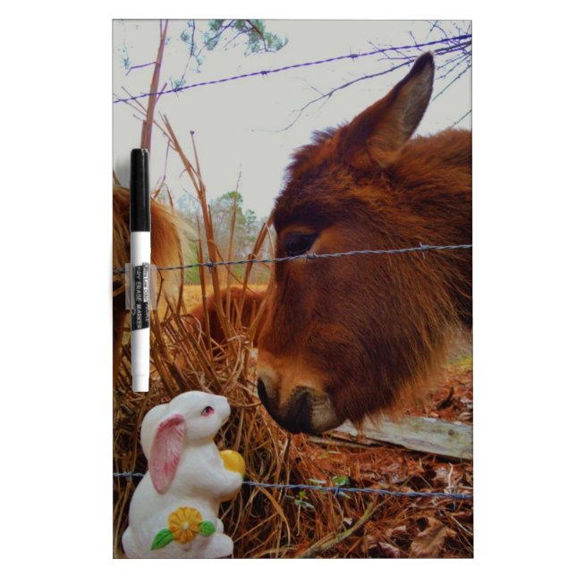 Miniature Brown horse & Easter Bunny Dry-Erase Board (Front)