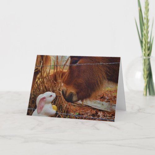 Miniature Brown horse  Easter Bunny Holiday Card