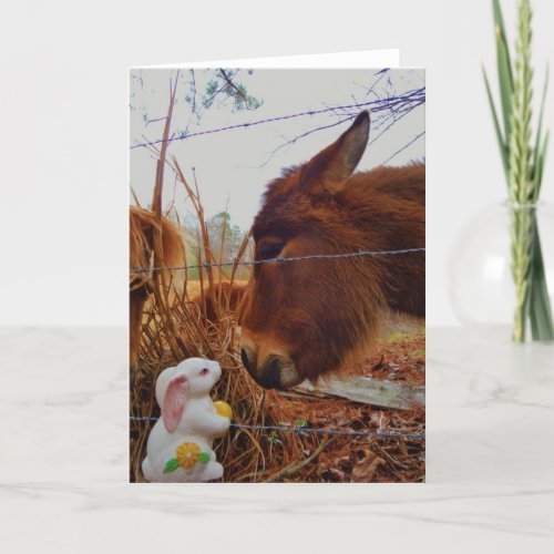 Miniature Brown horse  Easter Bunny Holiday Card