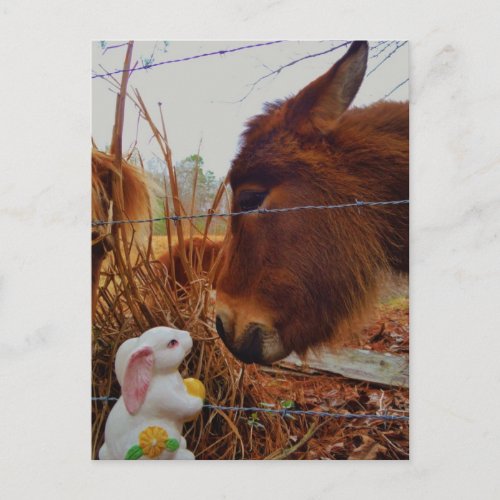 Miniature Brown horse  Easter Bunny Holiday Postcard