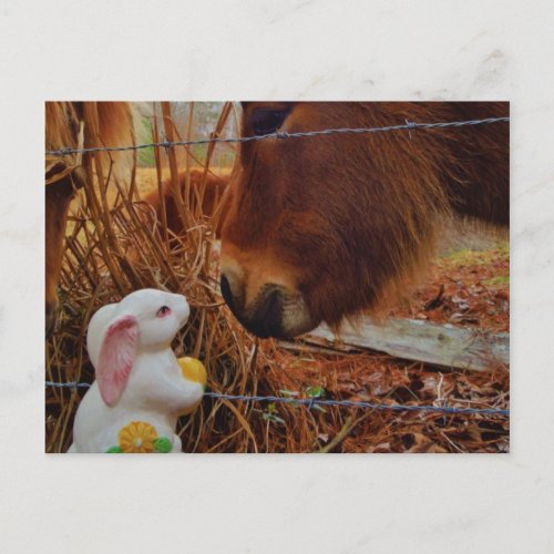 Miniature Brown horse  Easter Bunny Holiday Postcard