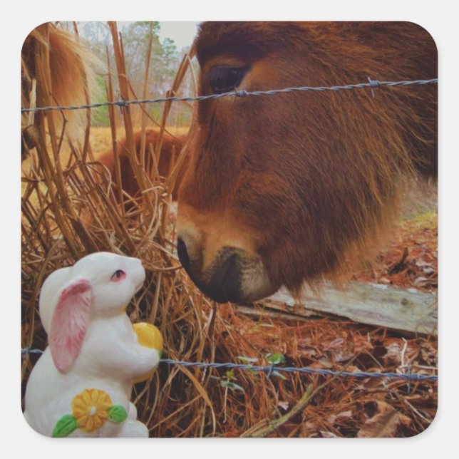 Miniature Brown horse & Easter Bunny Square Sticker (Front)