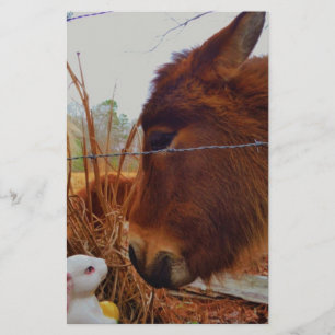 Miniature Brown horse & Easter Bunny Stationery