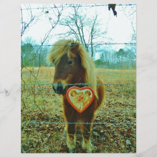 Miniature Brown horse Valentine Heart (Front)