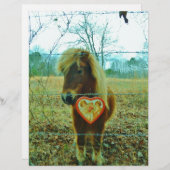 Miniature Brown horse Valentine Heart (Front/Back)