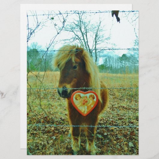 Miniature Brown horse Valentine Heart (Front/Back)