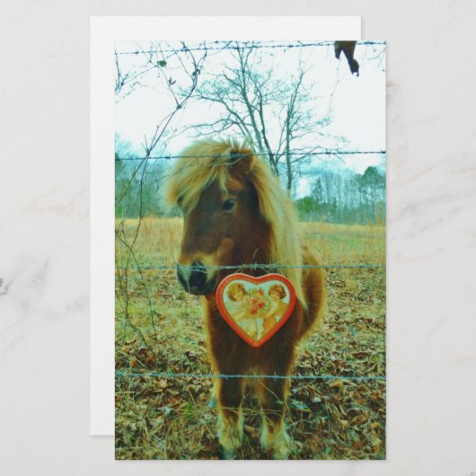 Miniature Brown horse Valentine Heart (Front/Back)