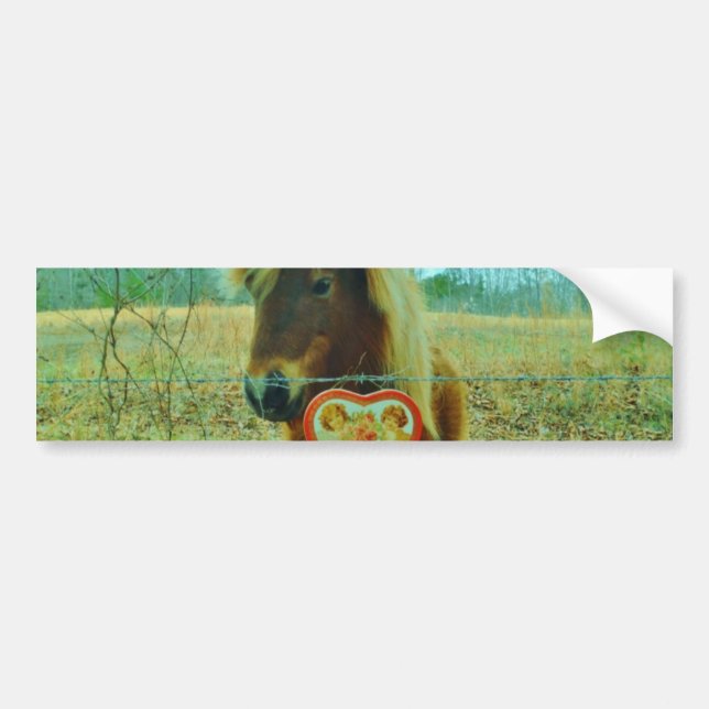 Miniature Brown horse Valentine Heart Bumper Sticker (Front)
