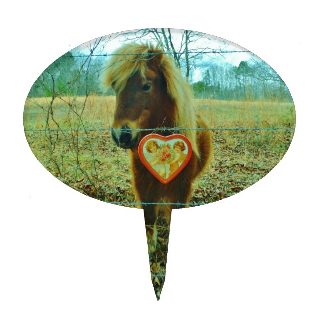Miniature Brown horse Valentine Heart Cake Topper (Front)