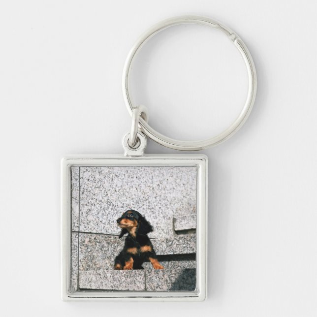 Miniature Dachshund 4 Keychain (Front)