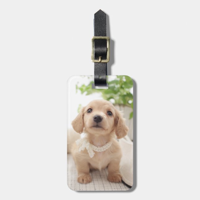 Miniature Dachshund Luggage Tag (Front Vertical)