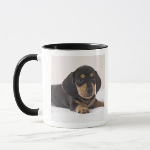 Miniature Dachshund Mug