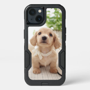 Miniature Dachshund iPhone 13 Case