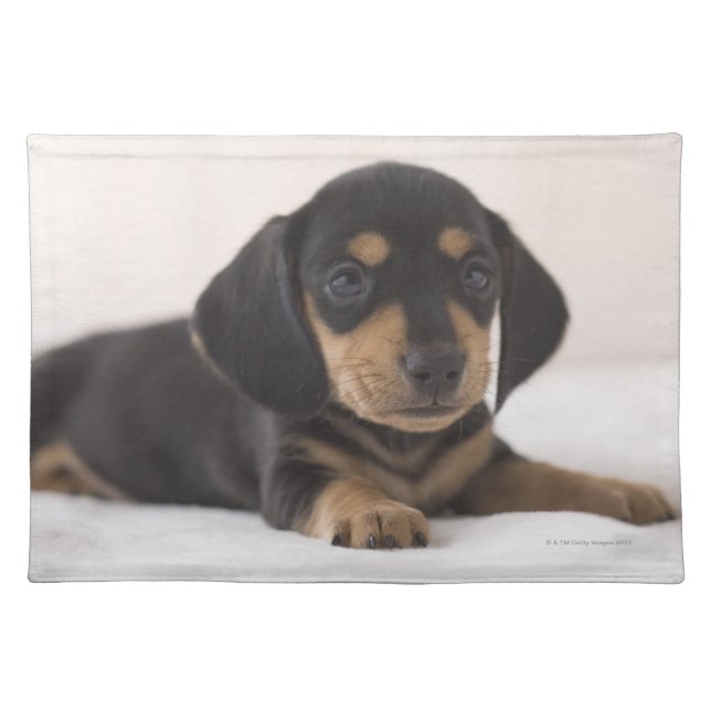 Miniature Dachshund Placemat (Front)