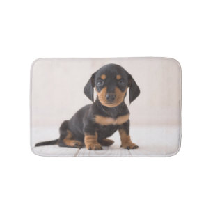 Miniature Dachshund Sitting Bathroom Mat