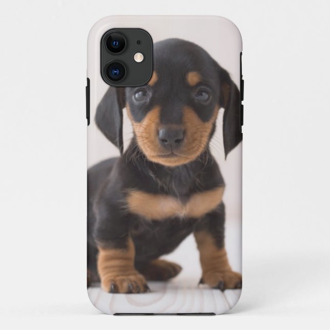 Miniature Dachshund Sitting Case-Mate iPhone Case (Back)