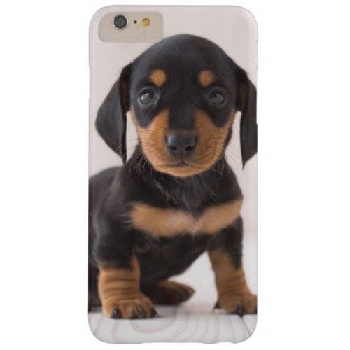 Miniature Dachshund Sitting Barely There iPhone 6 Plus Case