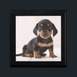 Miniature Dachshund Sitting Gift Box<br><div class="desc">Miniature dachshund sitting</div>