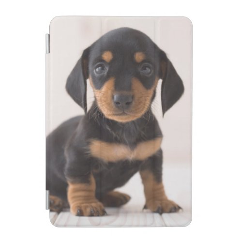 Miniature Dachshund Sitting iPad Mini Cover