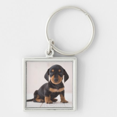 Miniature Dachshund Sitting Keychain