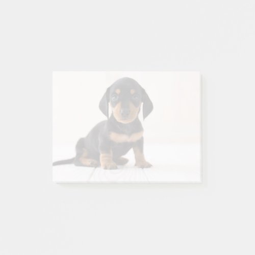 Miniature Dachshund Sitting Post_it Notes