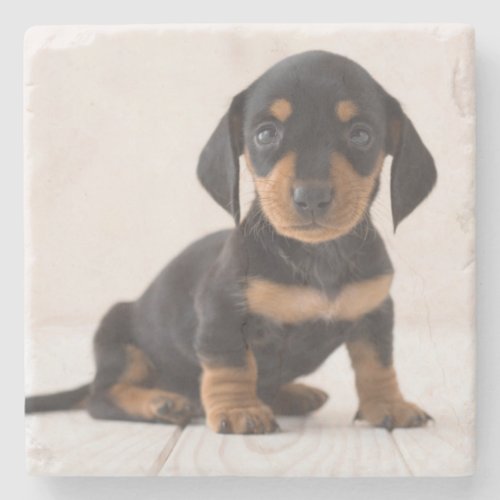 Miniature Dachshund Sitting Stone Coaster