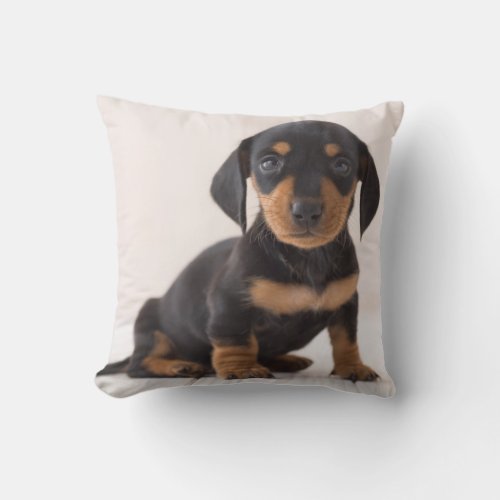 Miniature Dachshund Sitting Throw Pillow