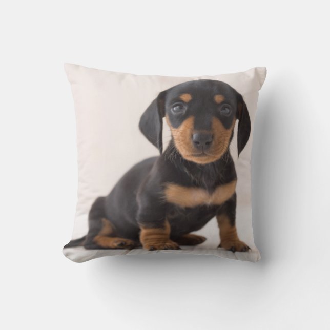 Miniature Dachshund Sitting Throw Pillow (Front)