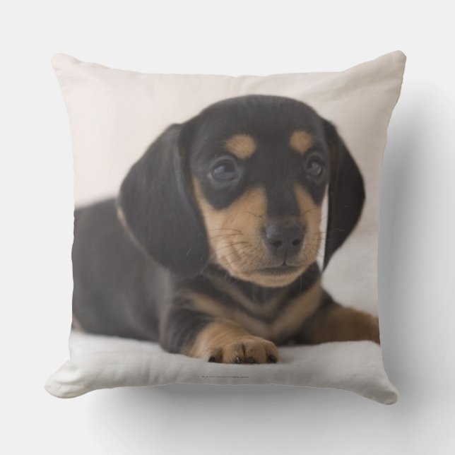 Miniature Dachshund Throw Pillow (Front)