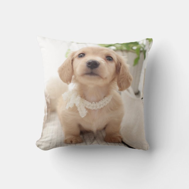 Miniature Dachshund Throw Pillow (Front)