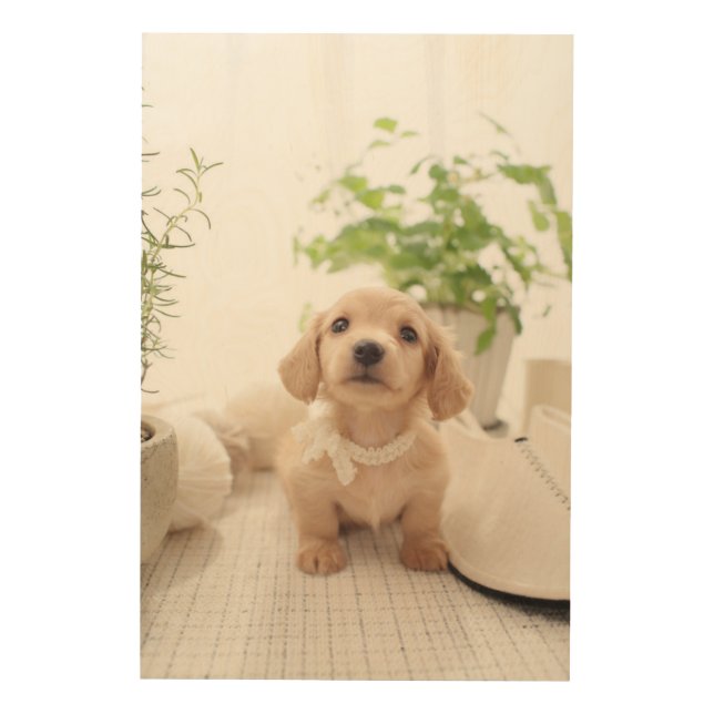 Miniature Dachshund Wood Wall Art (Front)
