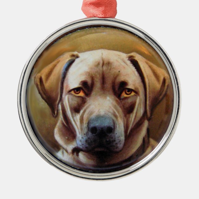 MINIATURE DOG PORTRAITS, Chocolate Labrador Metal Ornament (Front)