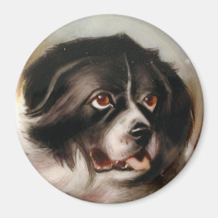 MINIATURE DOG PORTRAITS Newfoundland Magnet