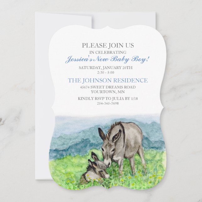 Miniature Donkey Baby Shower Invitation (Front)