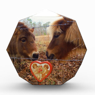 Miniature Donkey & Horse Valentine Heart Acrylic Award